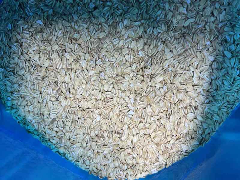 常年供应乳品，饮料果酱专用燕麦片