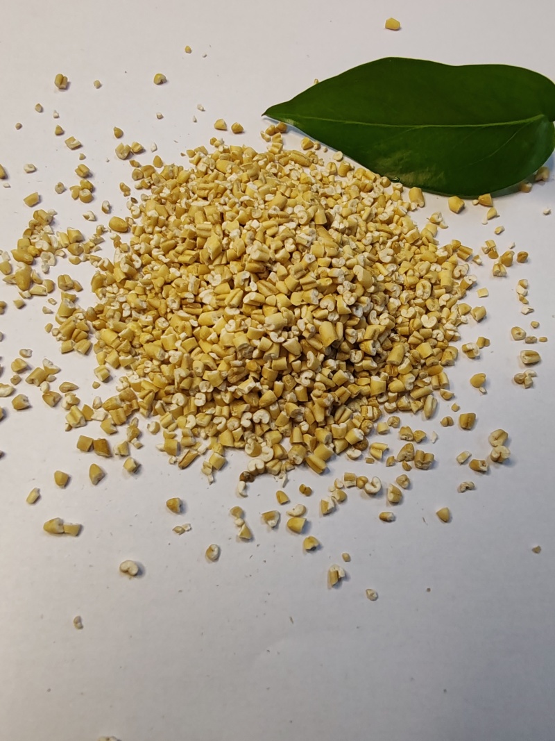 常年大量供应有机燕麦