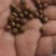 大量供应豌豆