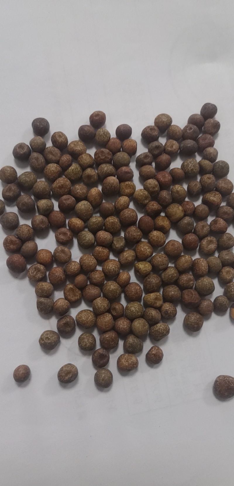 大量供应豌豆