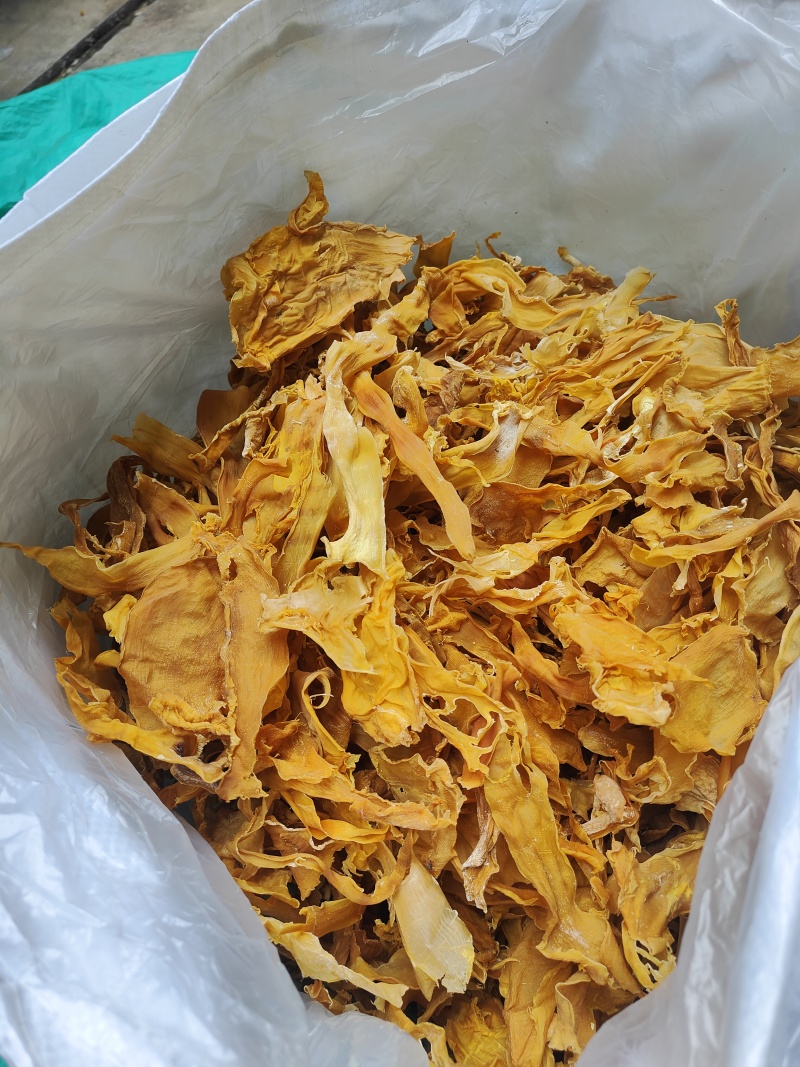 云南普洱野生笋片