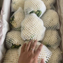 精品实花，大量上市，量大可供电商，超市，出口贸易