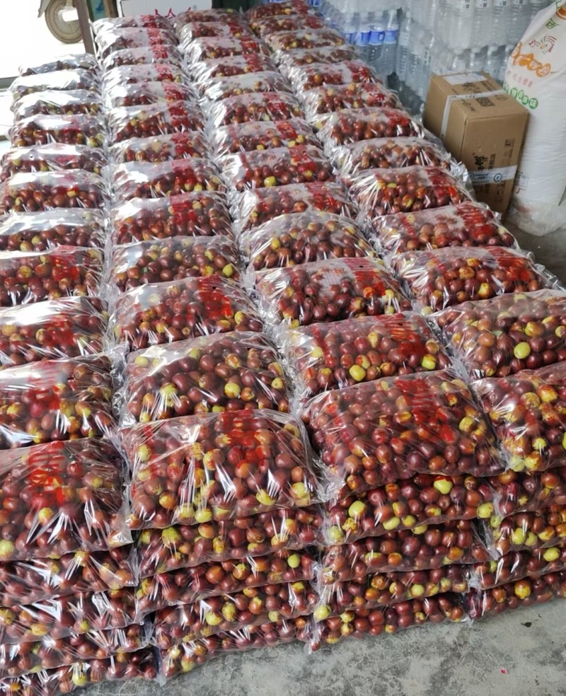 中国名枣，稷山板枣