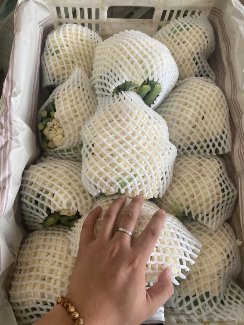 精品实花，大量上市，量大可供电商，超市，出口贸易