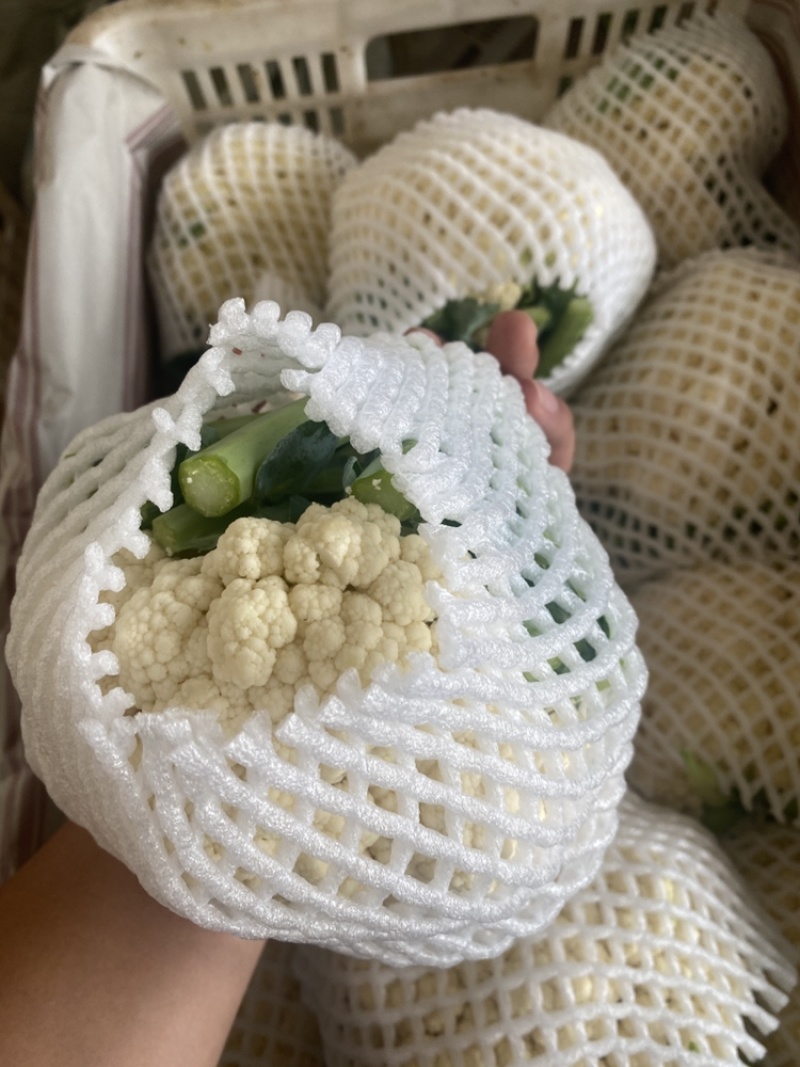 精品实花，大量上市，量大可供电商，超市，出口贸易