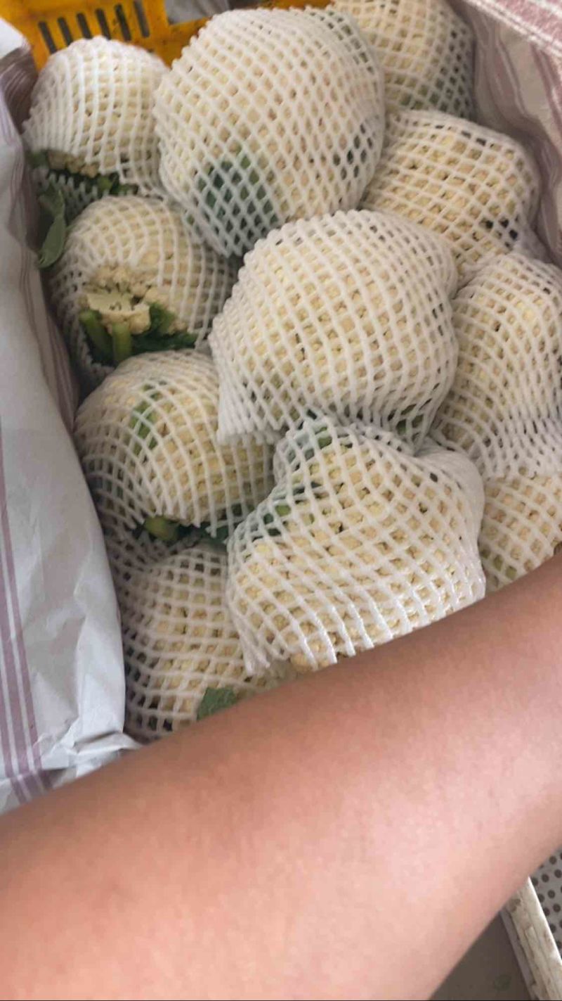精品实花，大量上市，量大可供电商，超市，出口贸易
