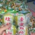 广西桂林柿子脆柿甜柿子产地直发一手货源代发全国市场