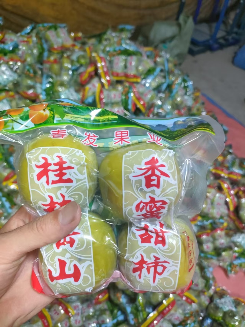 广西桂林柿子脆柿甜柿子产地直发一手货源代发全国市场
