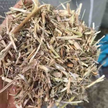 【牛商优选】河南驻马店花生秧-产地直供-可对接基地