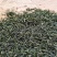 富硒绿茶鹤峰茶基地供应直销一手货源价格优惠欢迎采购