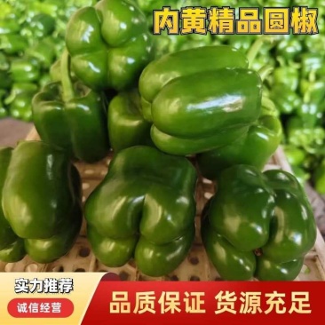 厚皮方椒202红方果型方正颜色翠绿货量足冷库打冷冷链发货