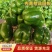 厚皮方椒202红方果型方正颜色翠绿货量足冷库打冷冷链发货