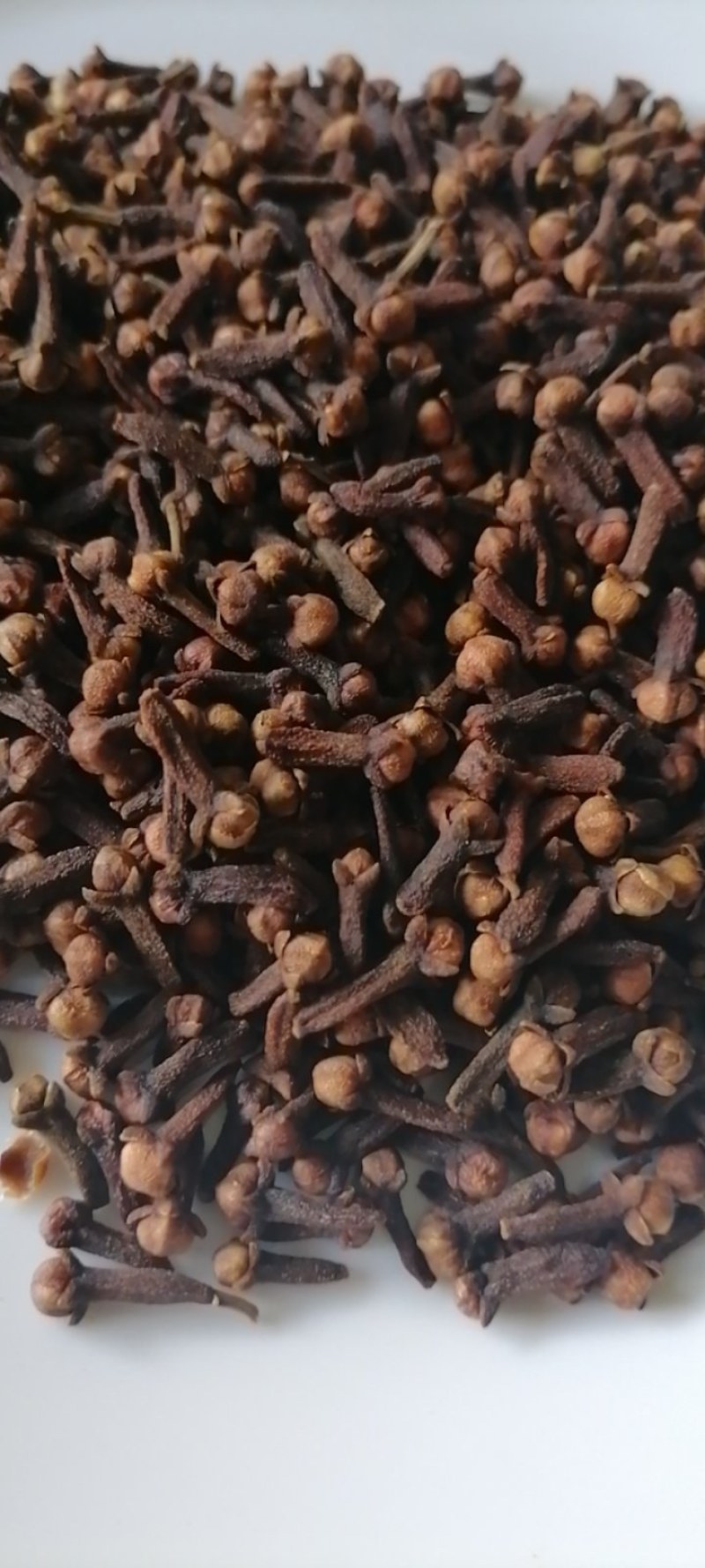 印尼丁香，爪哇货，自营当季新货，现货批发，也可预定