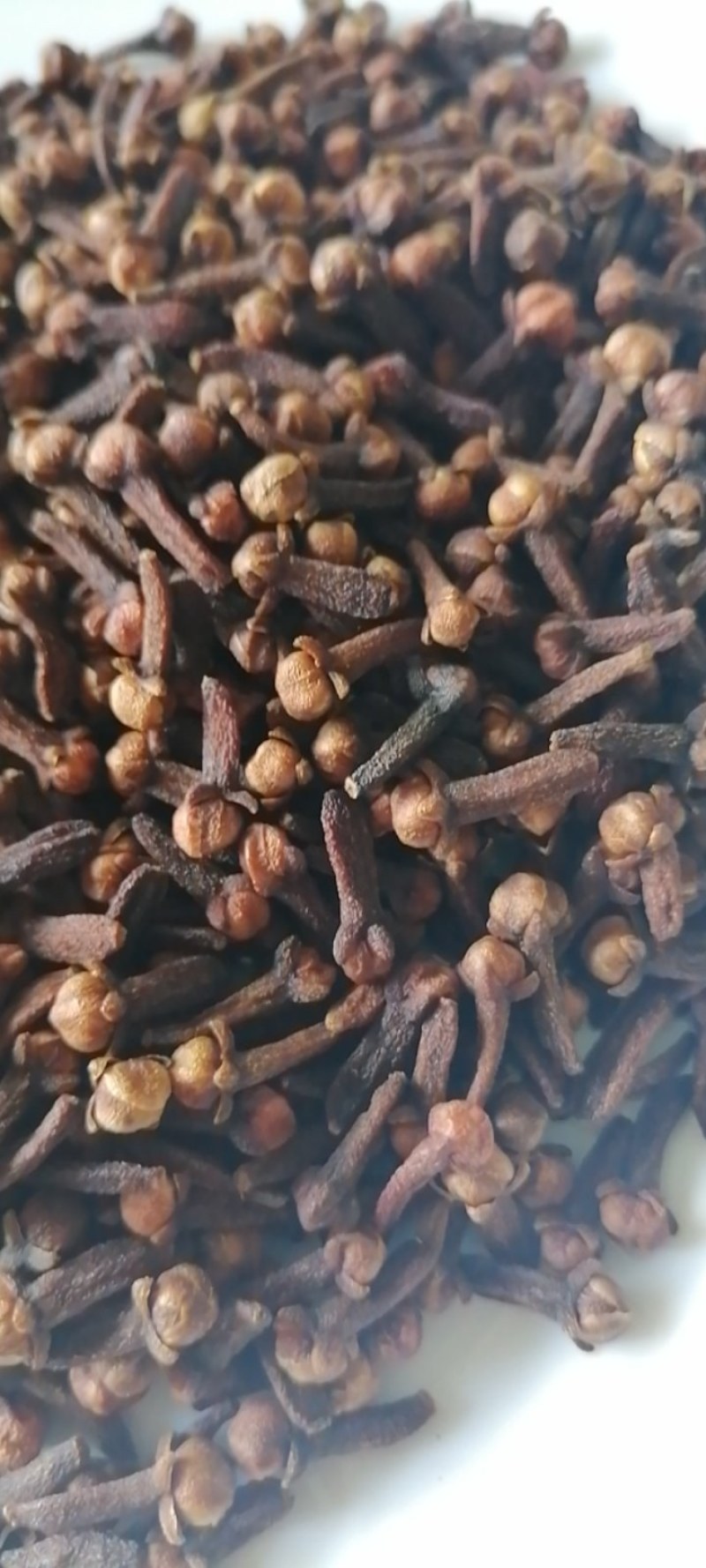 印尼丁香，爪哇货，自营当季新货，现货批发，也可预定