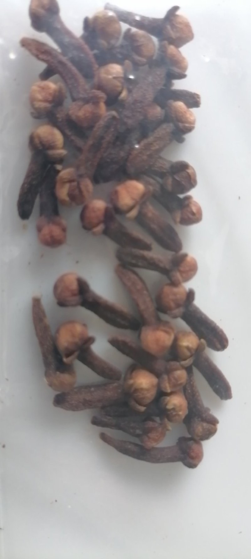 印尼丁香，爪哇货，自营当季新货，现货批发，也可预定
