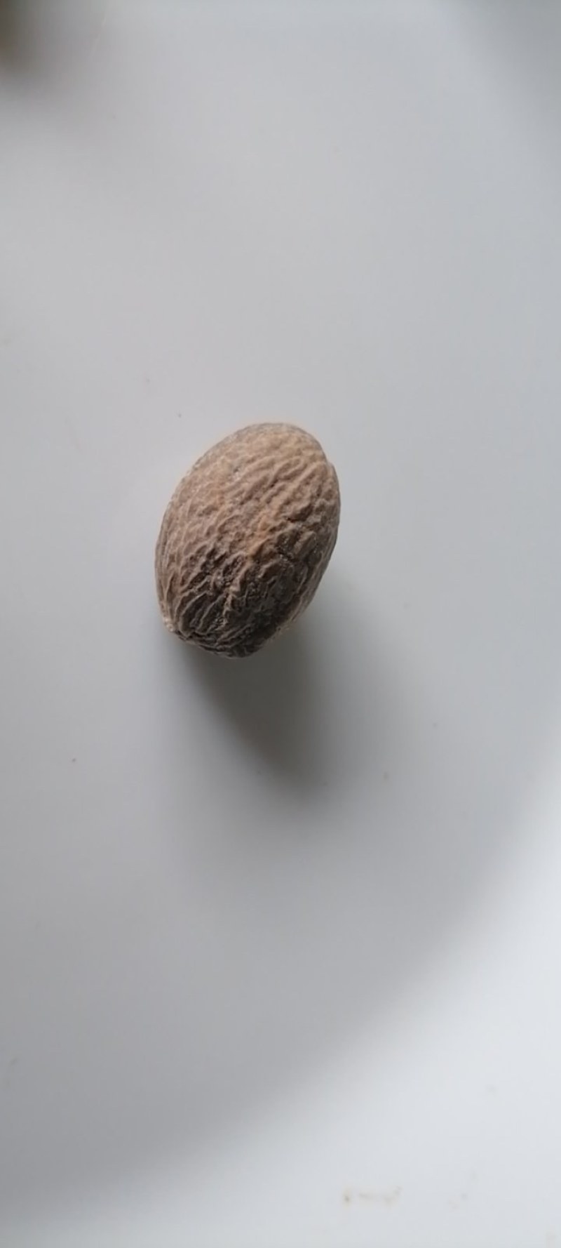 肉豆蔻，产地，印尼，或斯里兰卡，25公斤装，烹饪