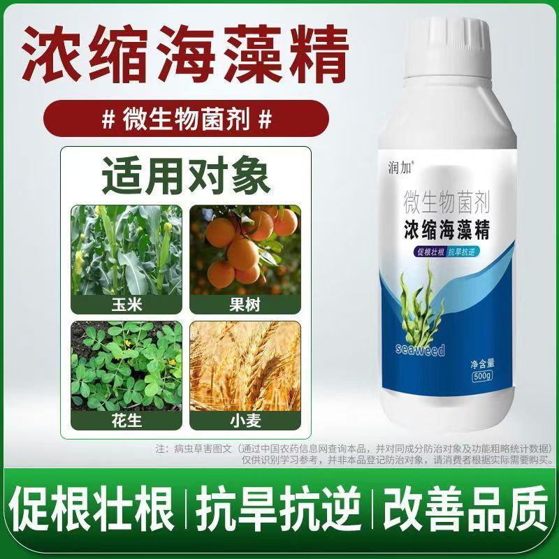 浓缩海藻精叶面肥微生物菌剂生根叶面肥枯草杆菌