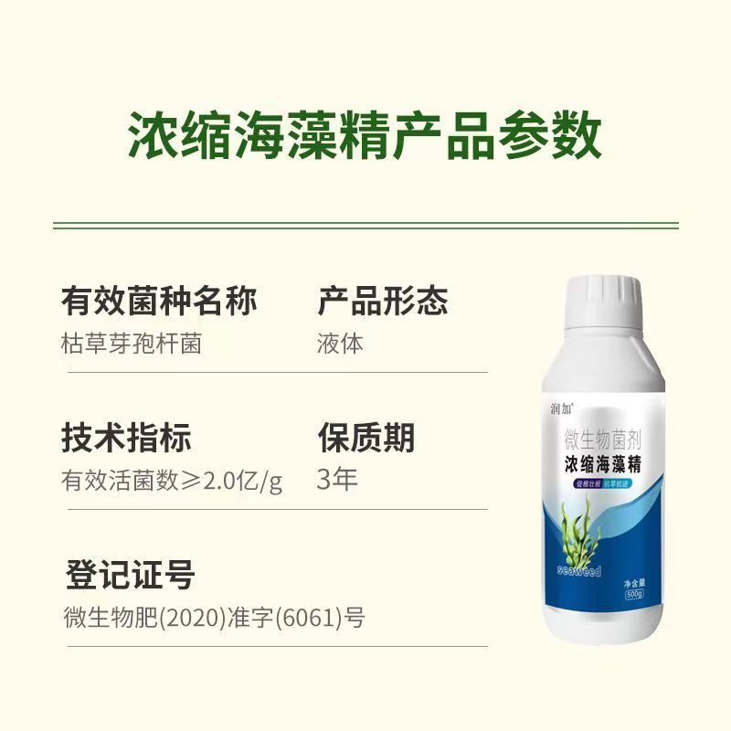 浓缩海藻精叶面肥微生物菌剂生根叶面肥枯草杆菌