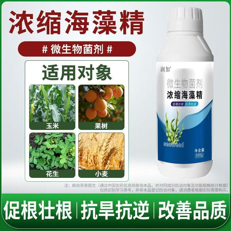 浓缩海藻精叶面肥微生物菌剂生根叶面肥枯草杆菌