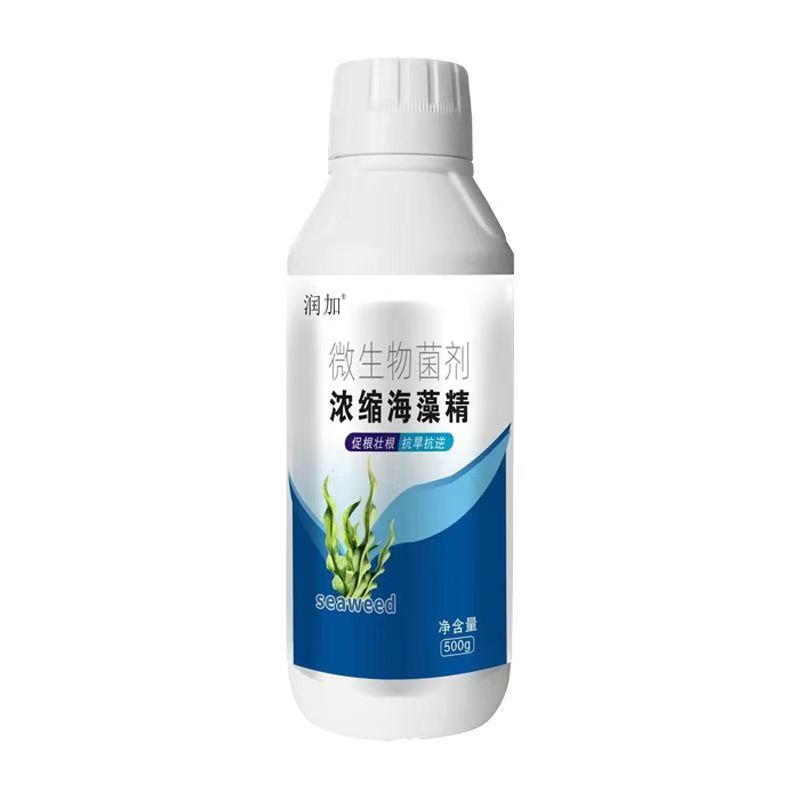 浓缩海藻精叶面肥微生物菌剂生根叶面肥枯草杆菌