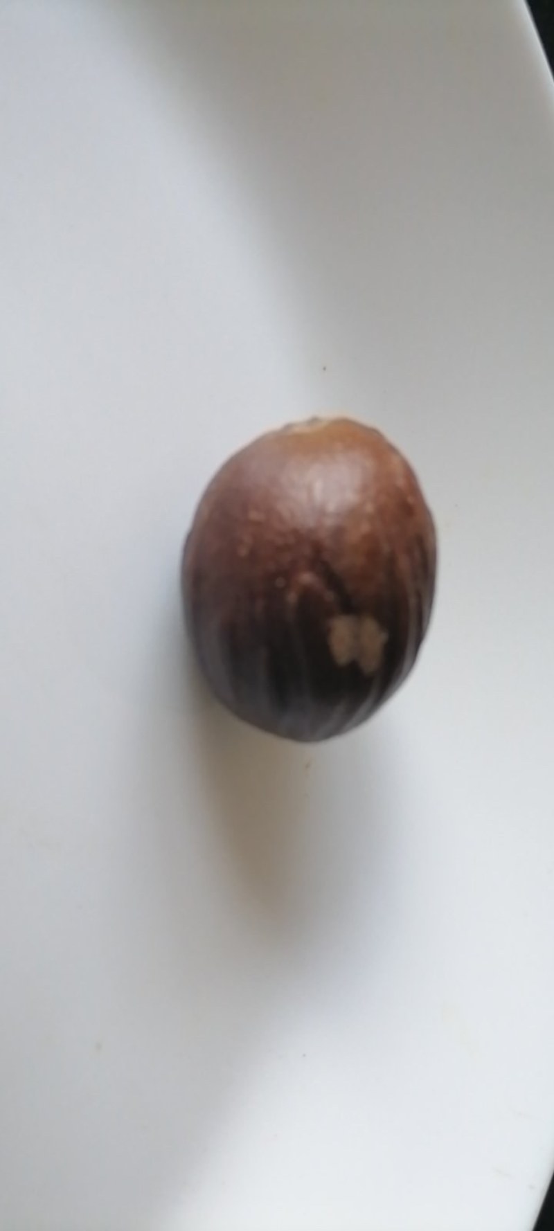 印尼，斯里兰卡的圆香果，当地的有的香果，味重，个大