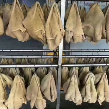 白水牛肚大肚无碱无水发餐饮店火锅店卤菜店一手货源批发