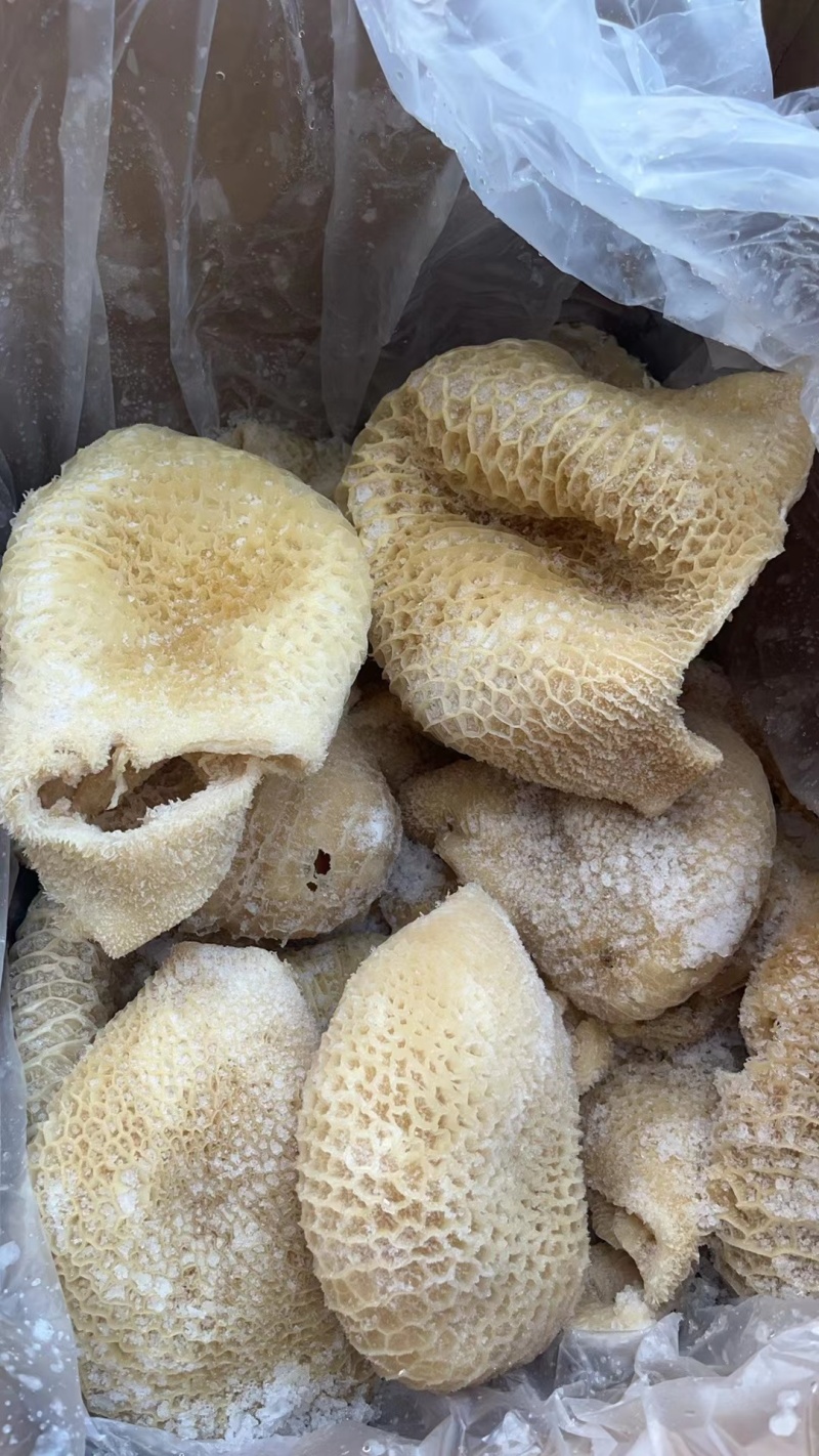 白水牛肚大肚无碱无水发餐饮店火锅店卤菜店一手货源批发