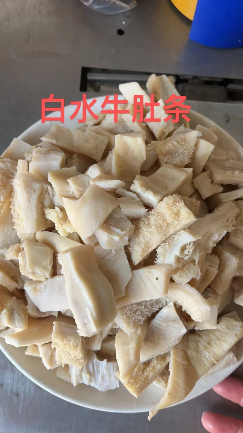 白水牛肚大肚无碱无水发餐饮店火锅店卤菜店一手货源批发