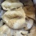 白水牛肚大肚无碱无水发餐饮店火锅店卤菜店一手货源批发