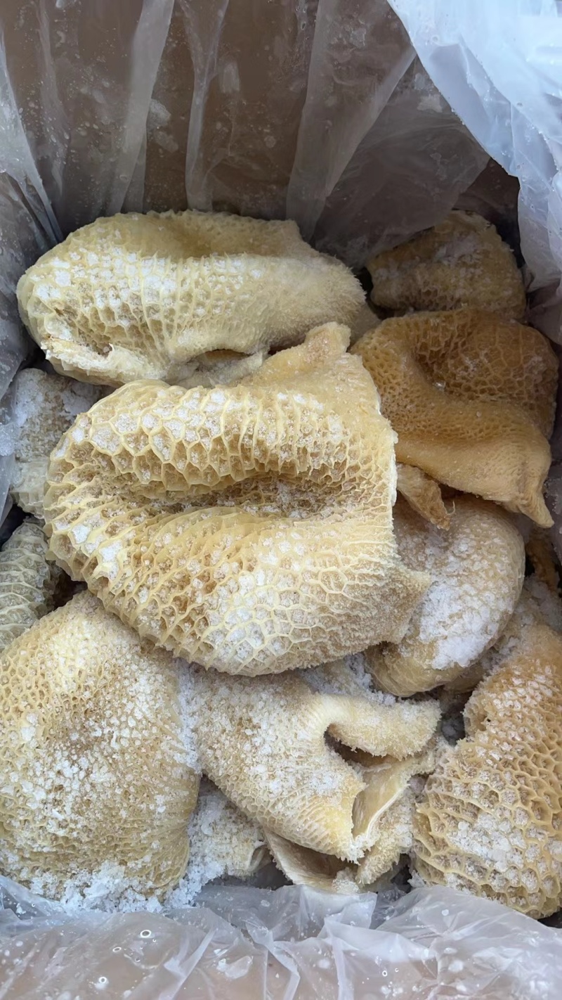 白水牛肚大肚无碱无水发餐饮店火锅店卤菜店一手货源批发
