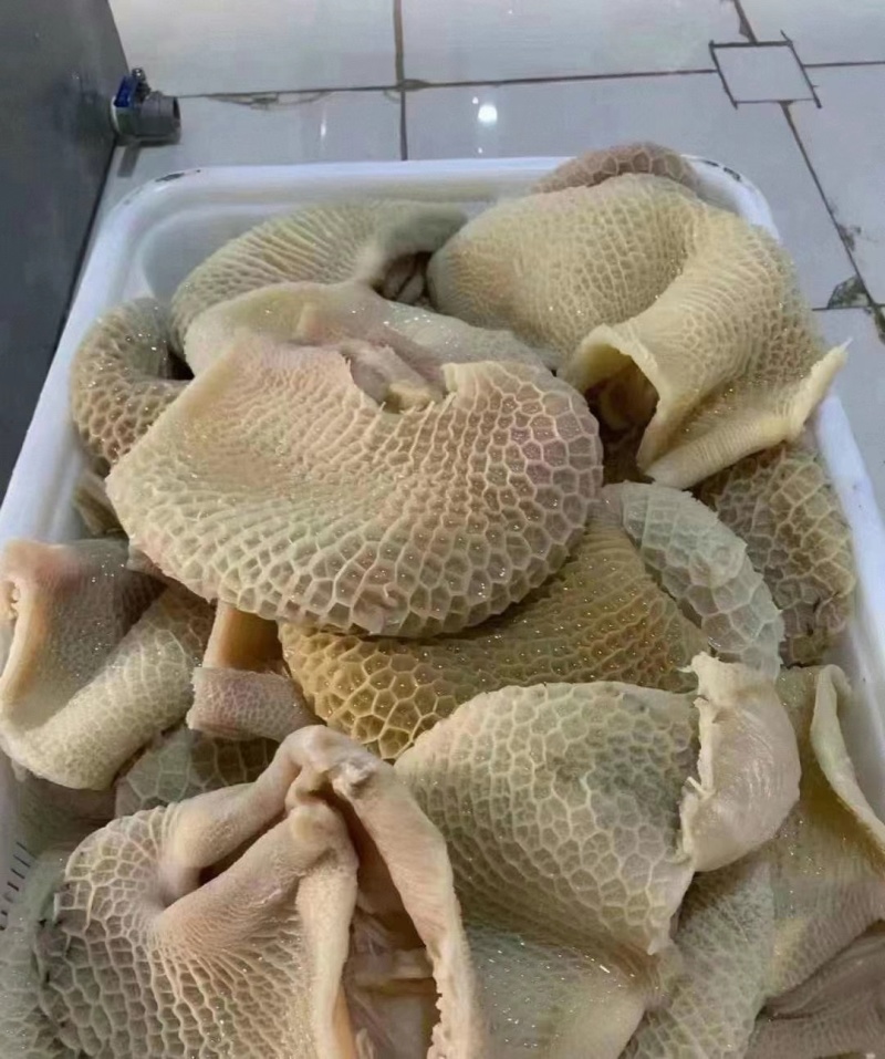 白水牛肚大肚无碱无水发餐饮店火锅店卤菜店一手货源批发