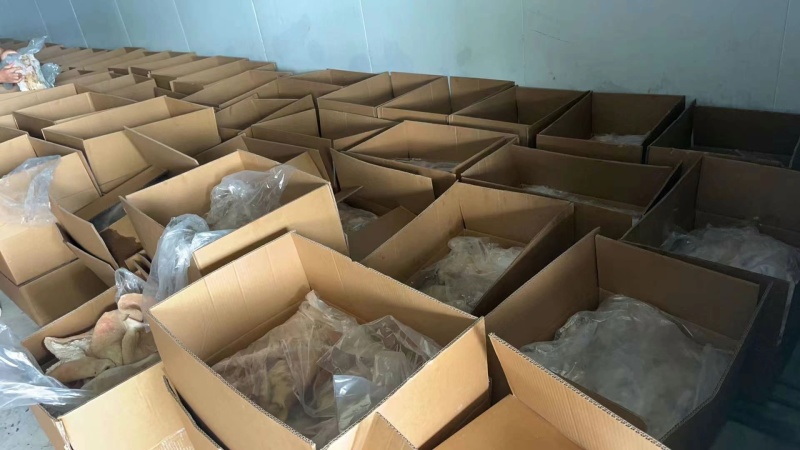 白水牛肚大肚无碱无水发餐饮店火锅店卤菜店一手货源批发