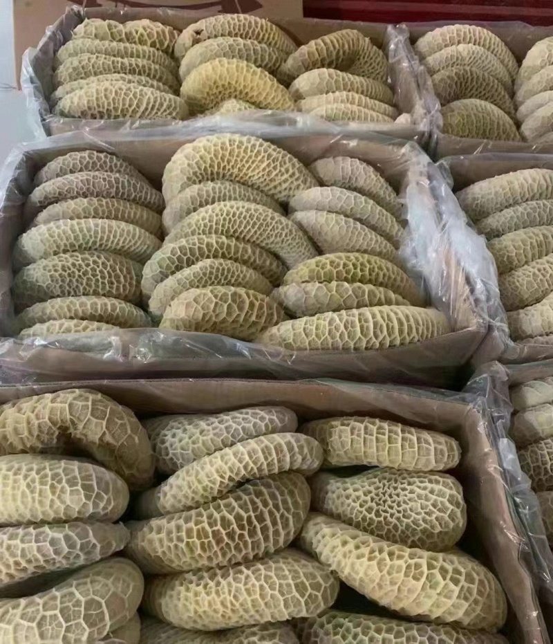 白水牛肚大肚无碱无水发餐饮店火锅店卤菜店一手货源批发