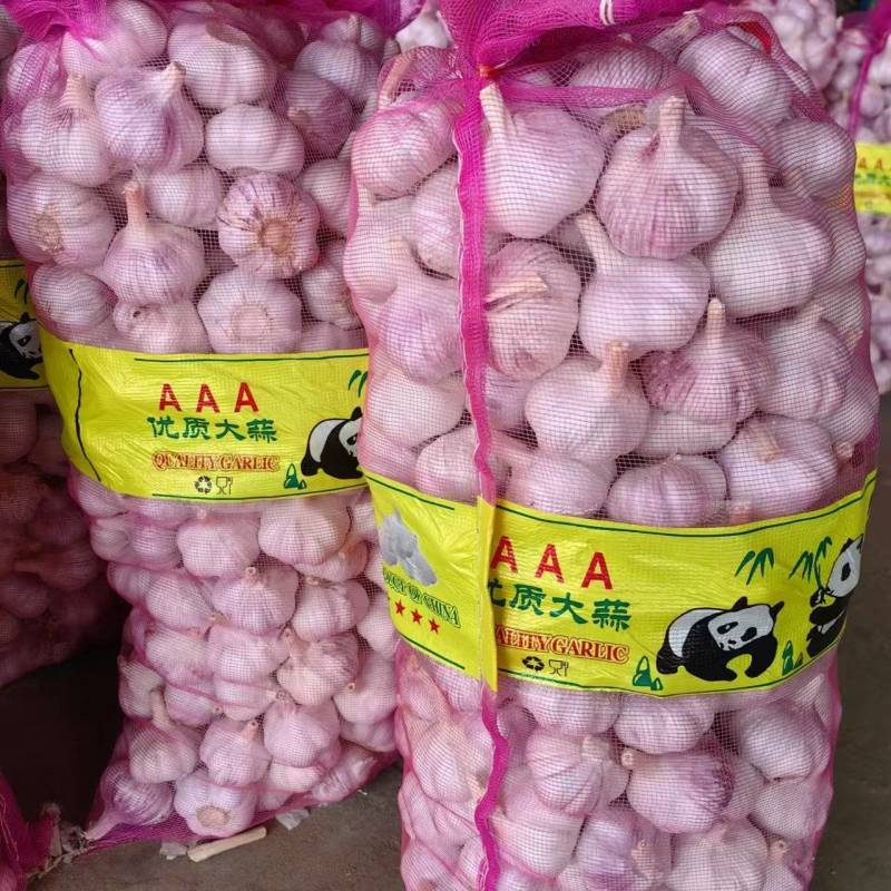 山东济宁金乡大蒜热卖中基地直发保质保量价格实惠欢迎咨询