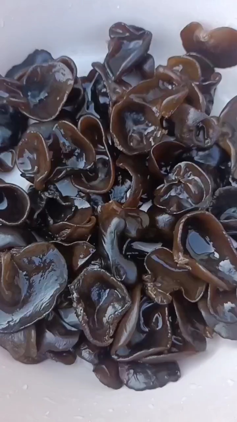 东北秋木耳