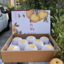 秋月梨糖度15➕，电商，市场，精品高端