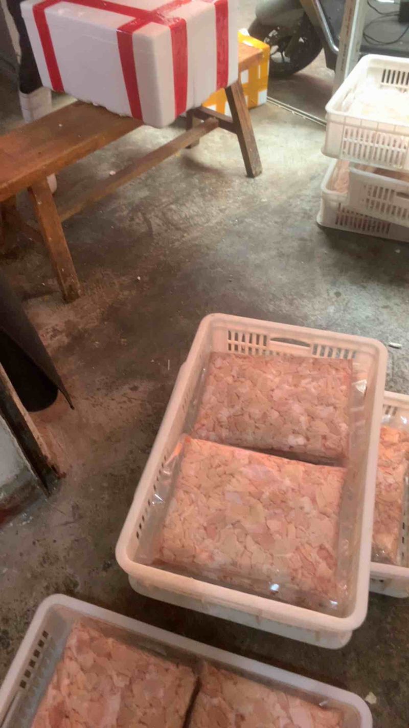 猪大肠肥肠本色无油预煮手工刀切肥肠屠场直供新鲜纯干