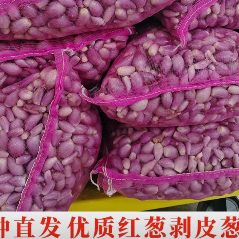 正宗广东四川云南福建红葱头新鲜剥皮去皮全国**批发公司