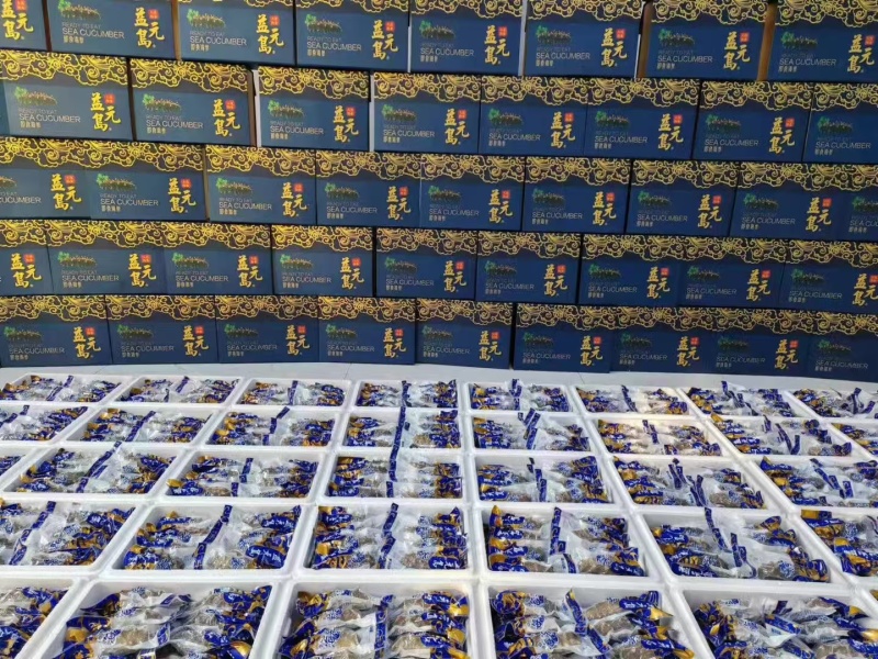 精品海参源头工厂直发量大从优保质保量欢迎电话洽谈