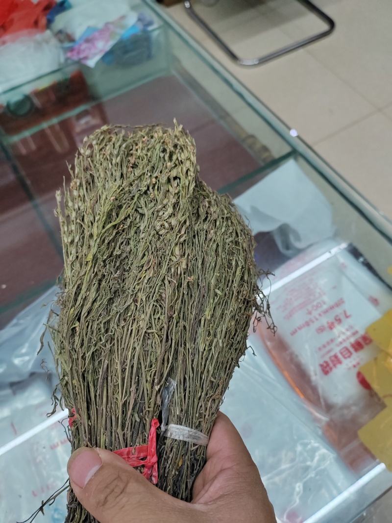 独脚金疳积草独角金一件代发大货批发