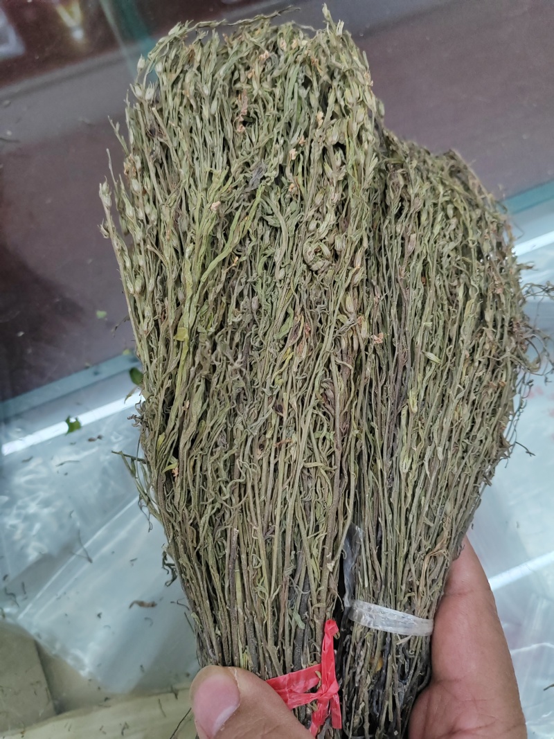 独脚金疳积草独角金一件代发大货批发