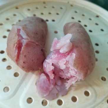 七彩土豆发货中