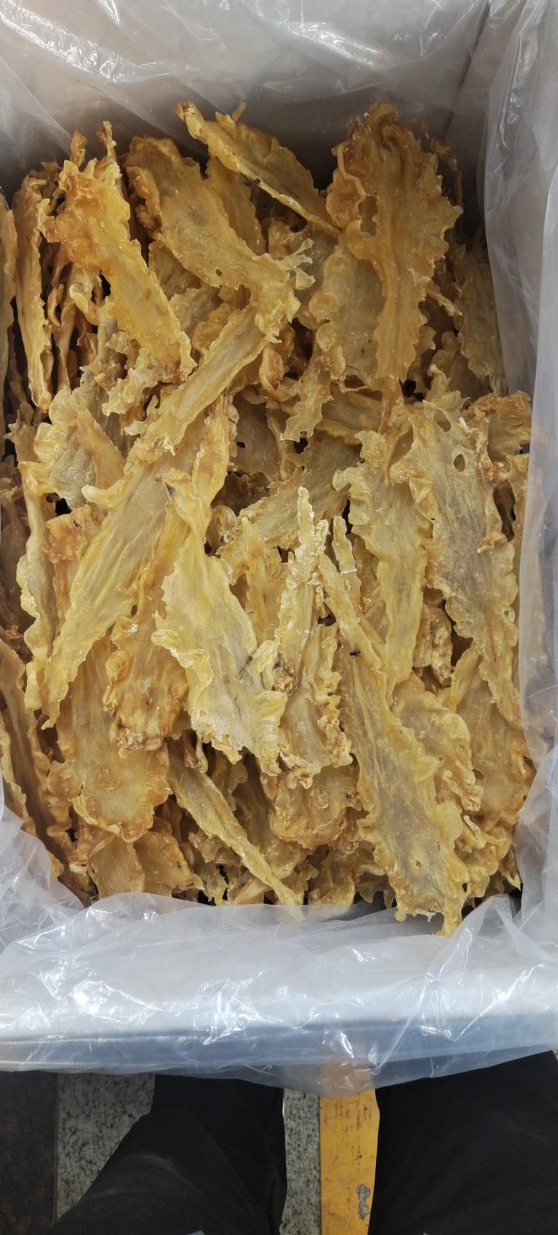 宁夏菌业大量批发鳕鱼胶厚肉15头质量保证价格
