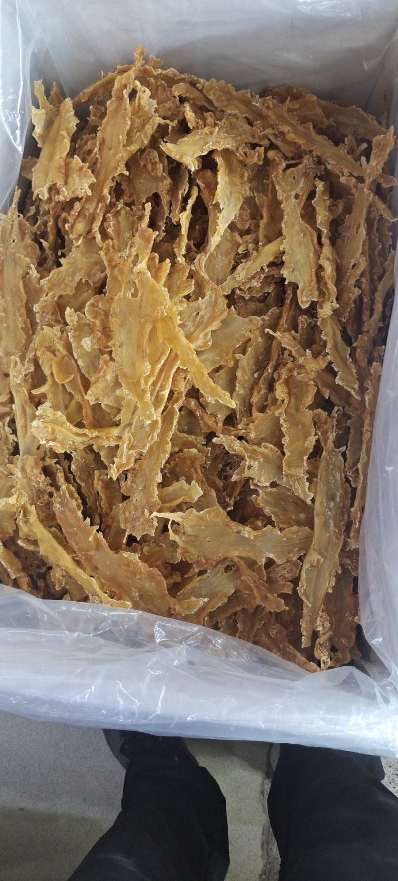 宁夏菌业大量批发鳕鱼胶厚肉15头质量保证价格