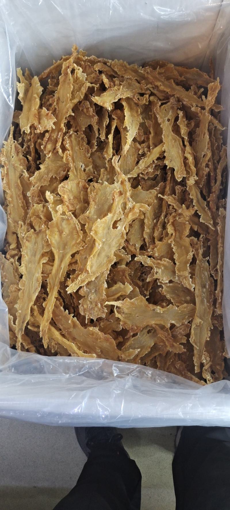宁夏菌业大量批发鳕鱼胶厚肉15头质量保证价格