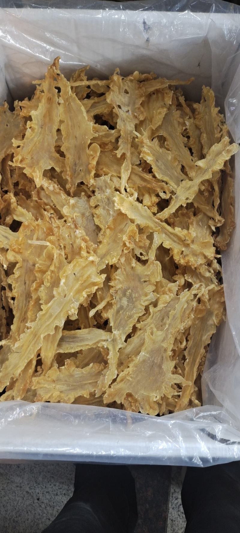 宁夏菌业大量批发鳕鱼胶厚肉15头质量保证价格