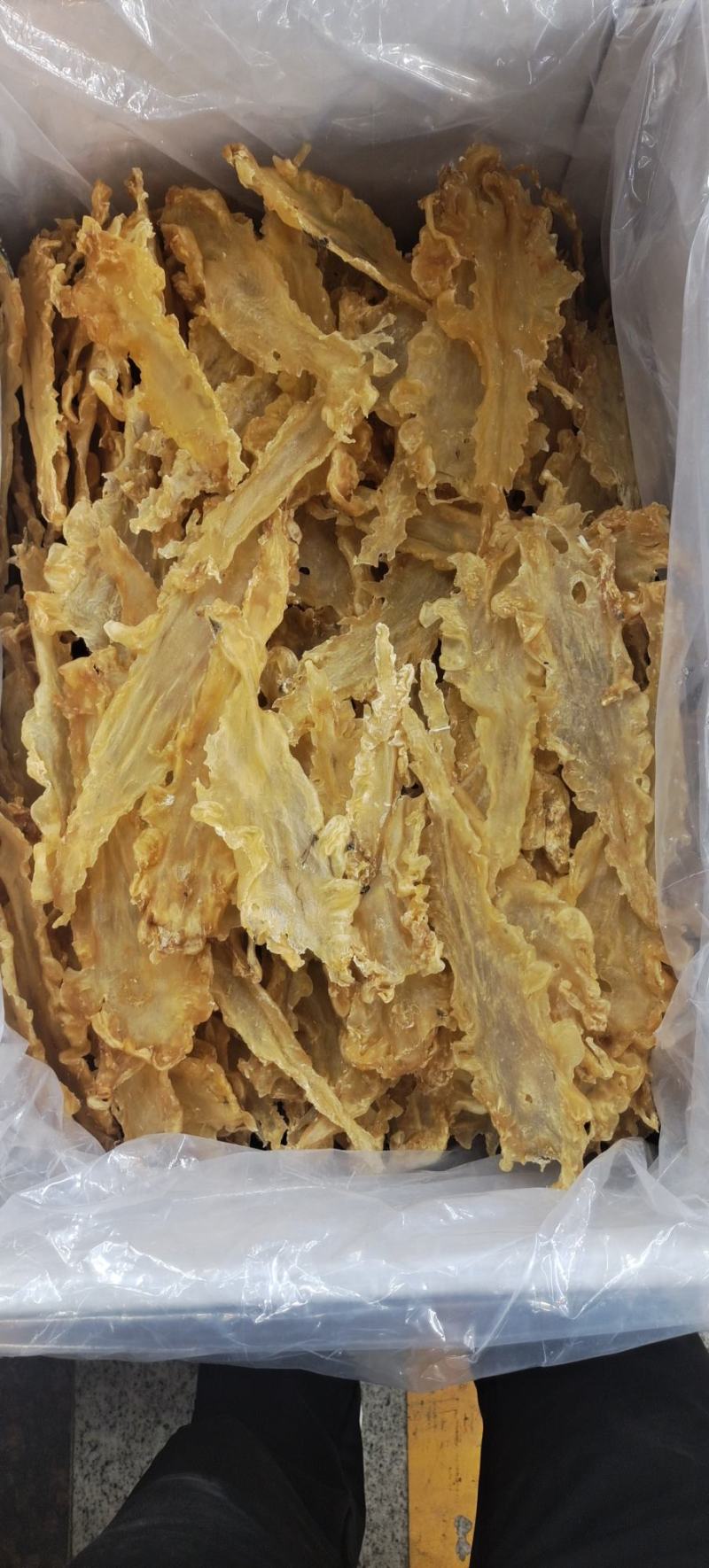 宁夏菌业大量批发鳕鱼胶厚肉15头质量保证价格