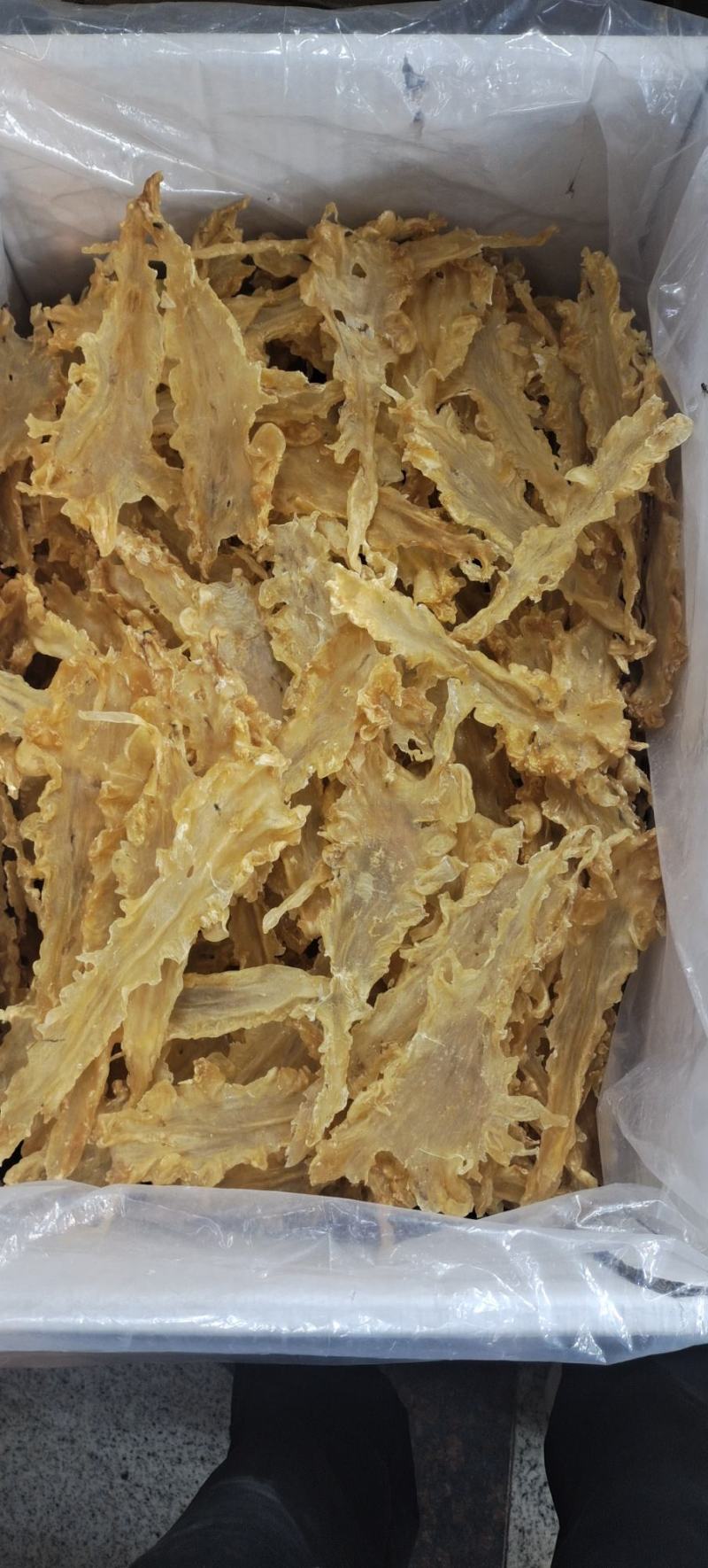 宁夏菌业大量批发鳕鱼胶厚肉15头质量保证价格
