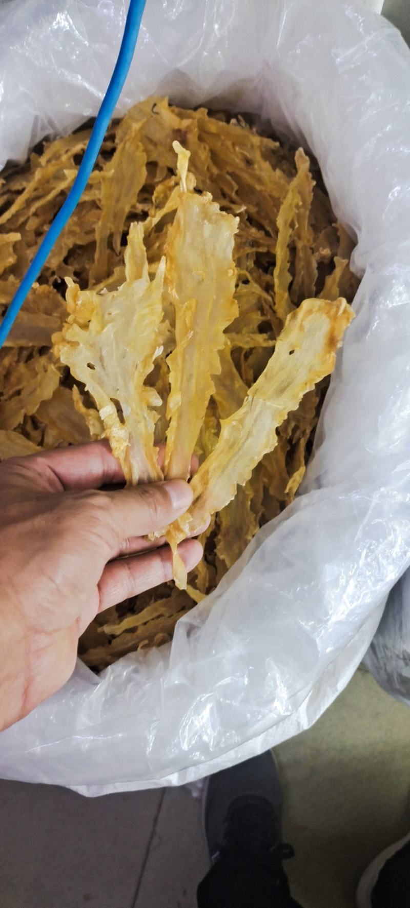 宁夏菌业大量批发鳕鱼胶厚肉15头质量保证价格