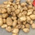土豆山东土豆新土豆大量供应货源充足